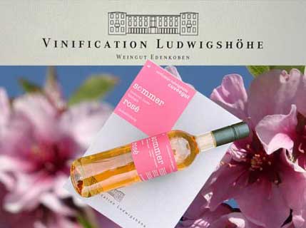 Winzerstand Vinification Ludwigshöhe